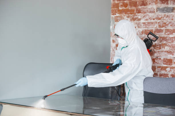 Why You Should Choose Our Mold Remediation Services in Milbank, SD