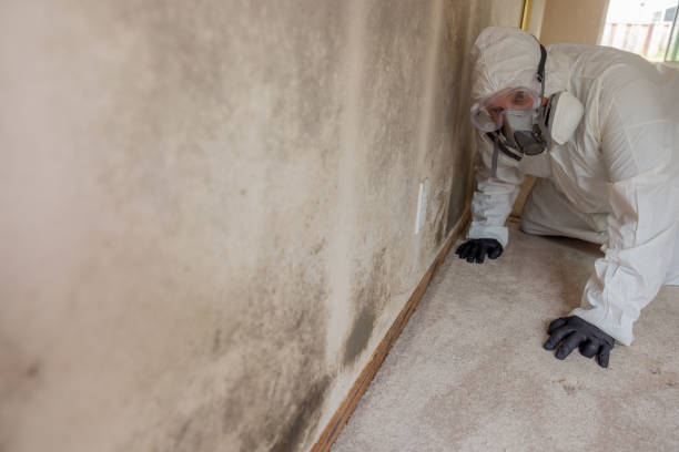 Mold Remediation for Rental Properties in Milbank, SD